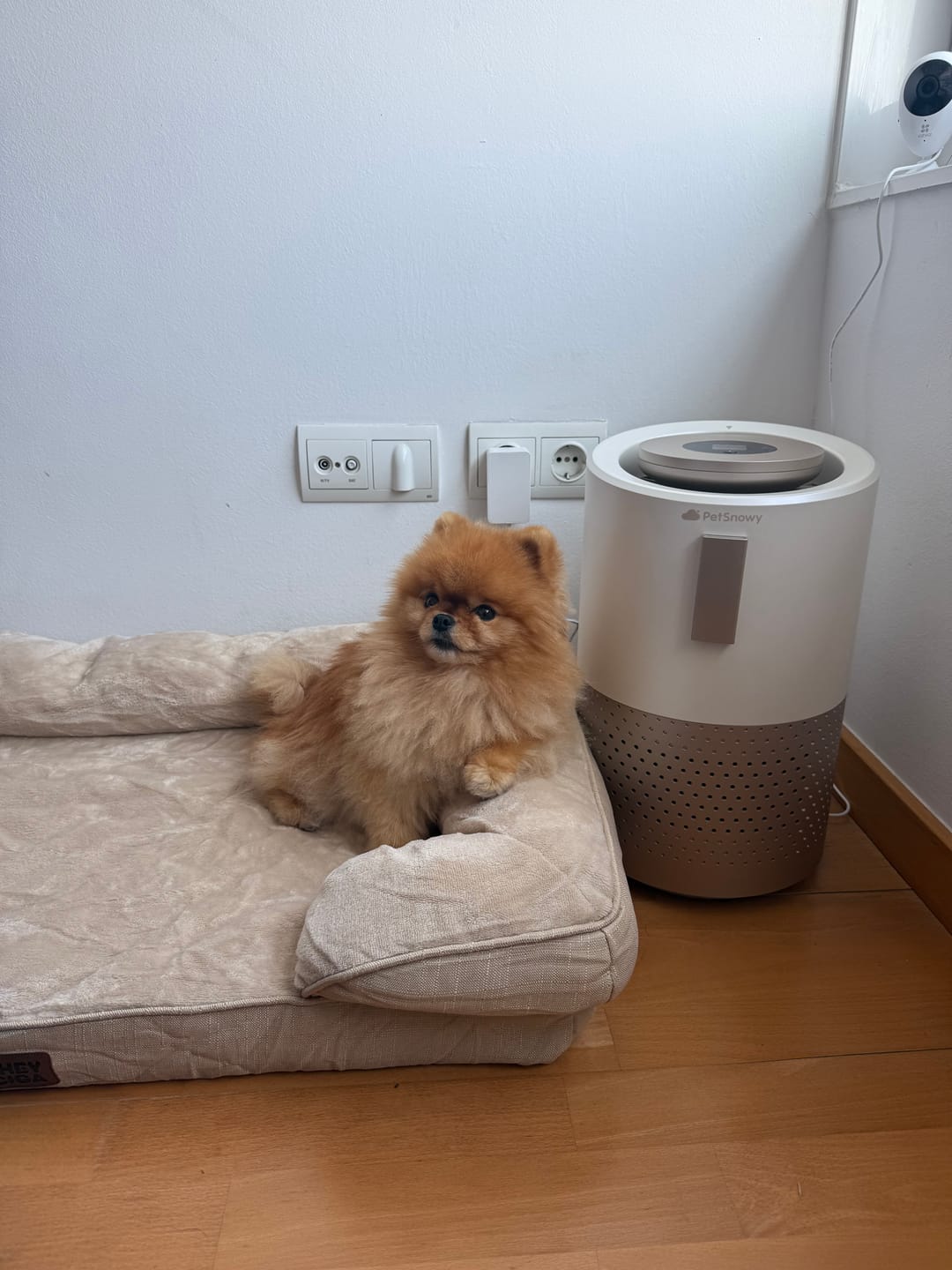 Customer photo review of Pet Air Purifier