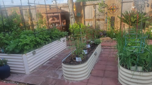 Customer photo review of Plant Juice