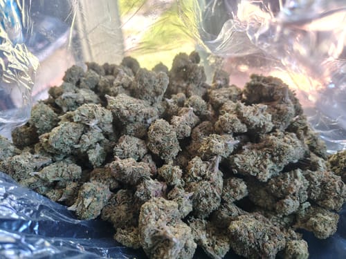 THCA Flower - Fritter Mintz photo review