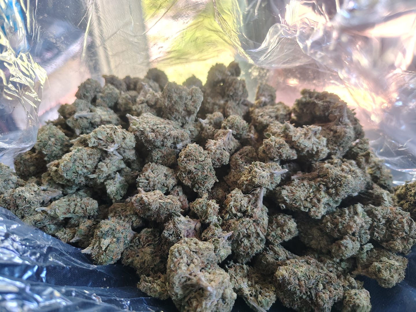 Customer photo review of Candy Gas - Bulk - Hybrid