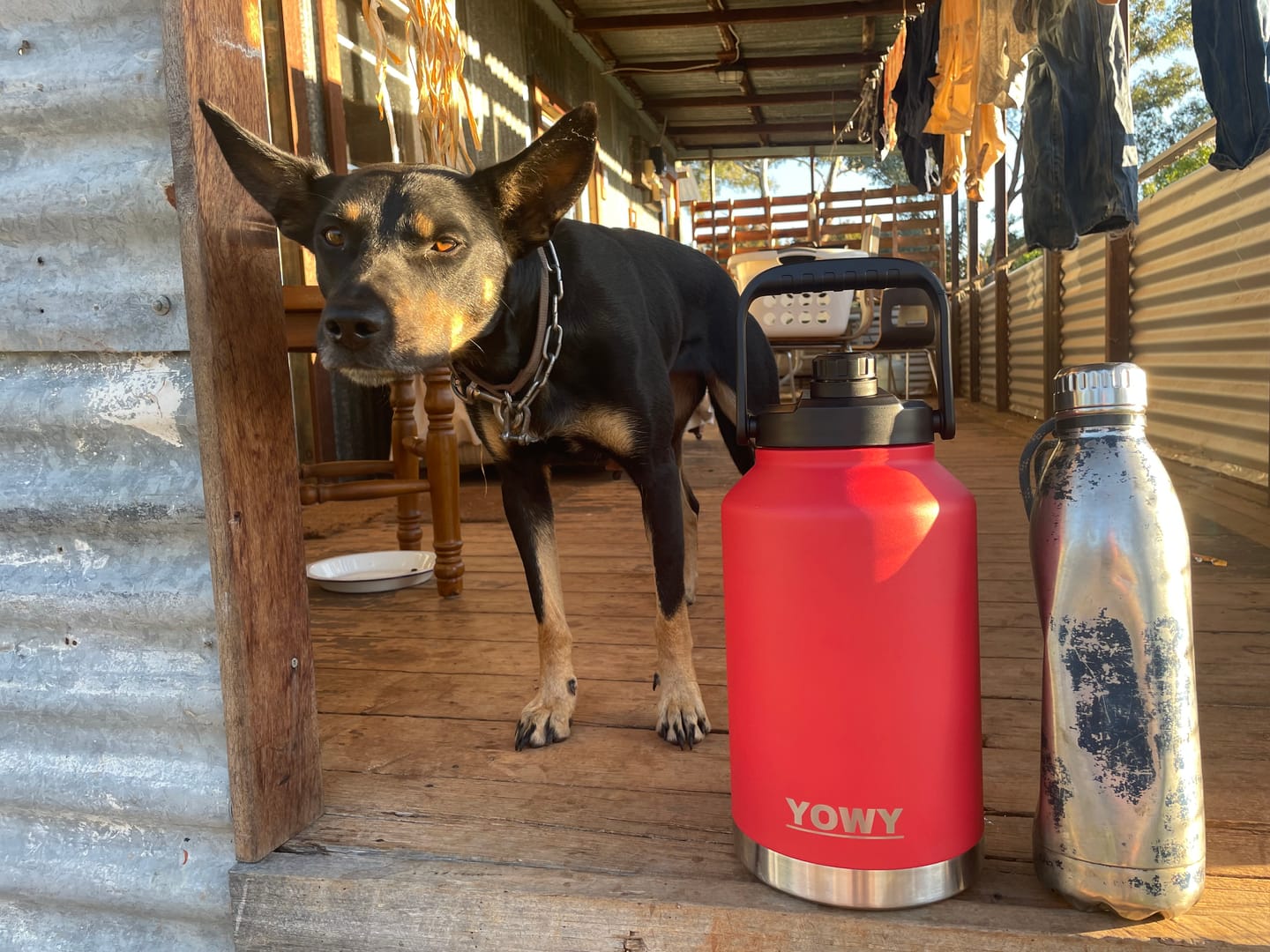 Customer photo review of 5.8L Yowy Watercan