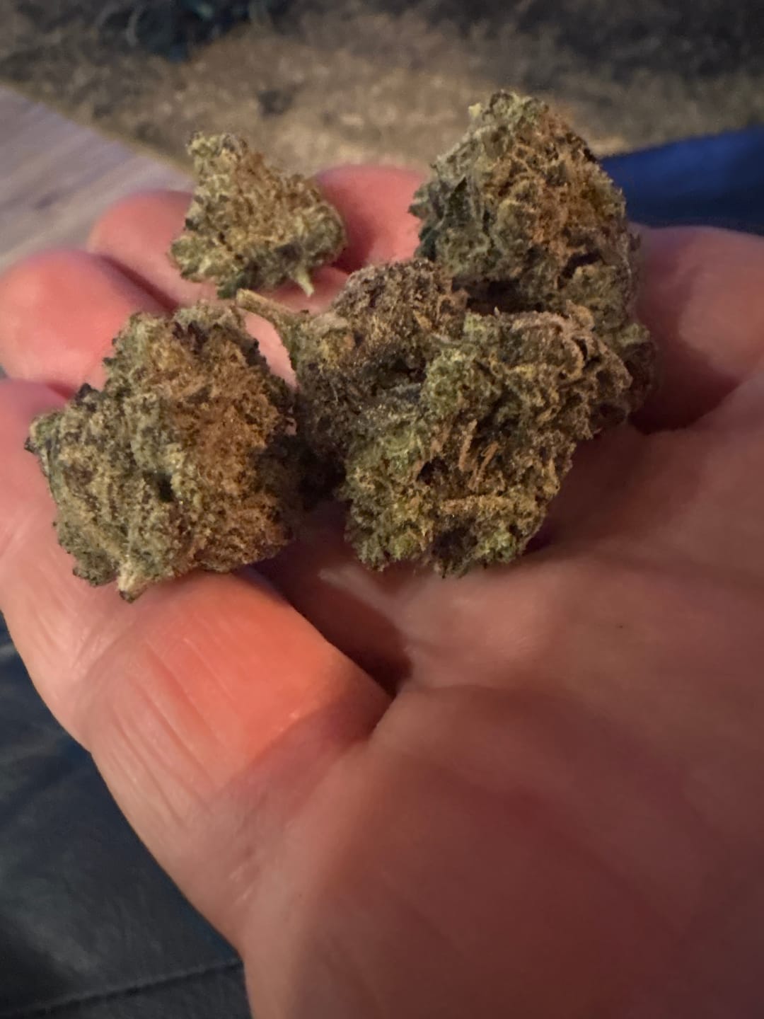 Customer photo review of Icy Pop Indoor - Bulk - Hybrid