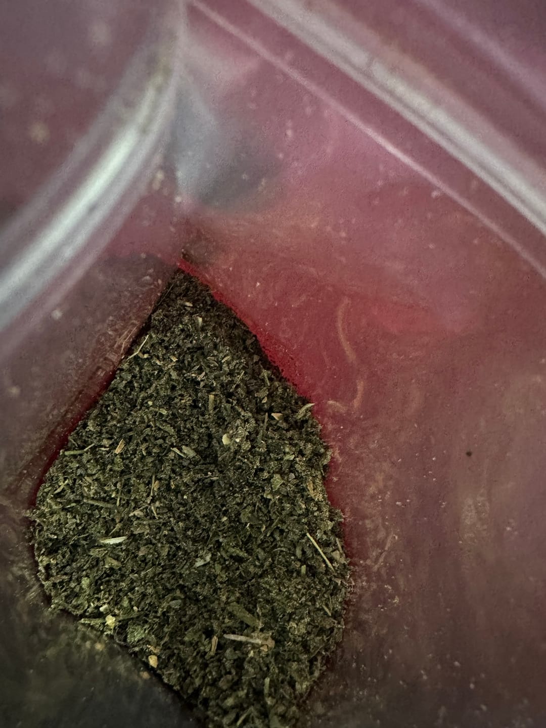 Customer photo review of RS11 Shake