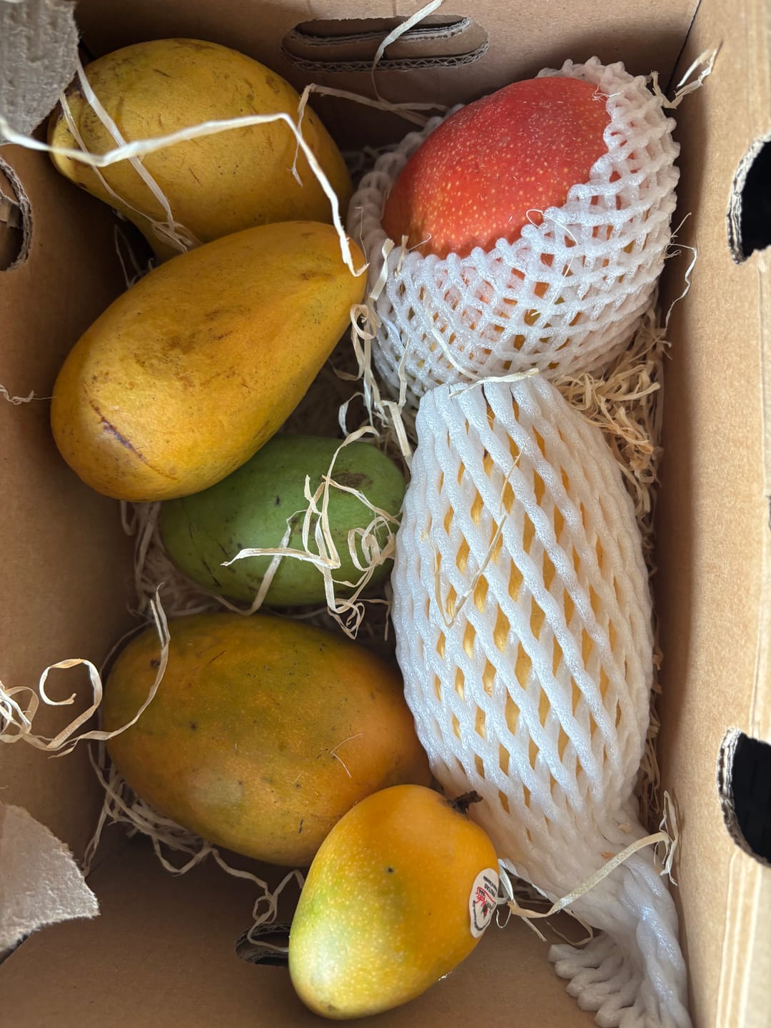 Customer photo review of Mango Entdeckerbox