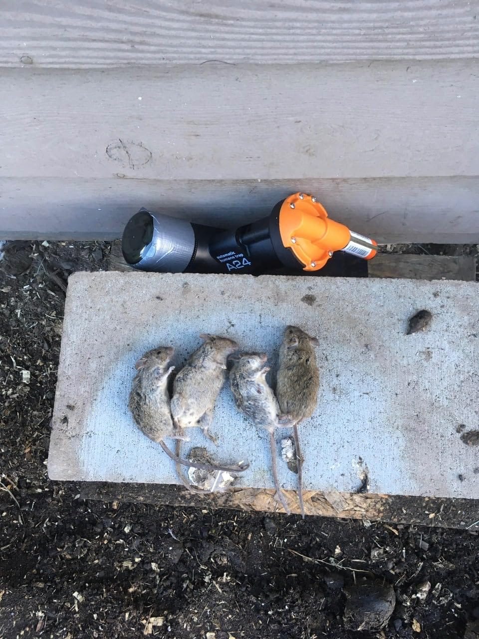 Customer photo review of A24 Trap Kit With Digital Strike Counter