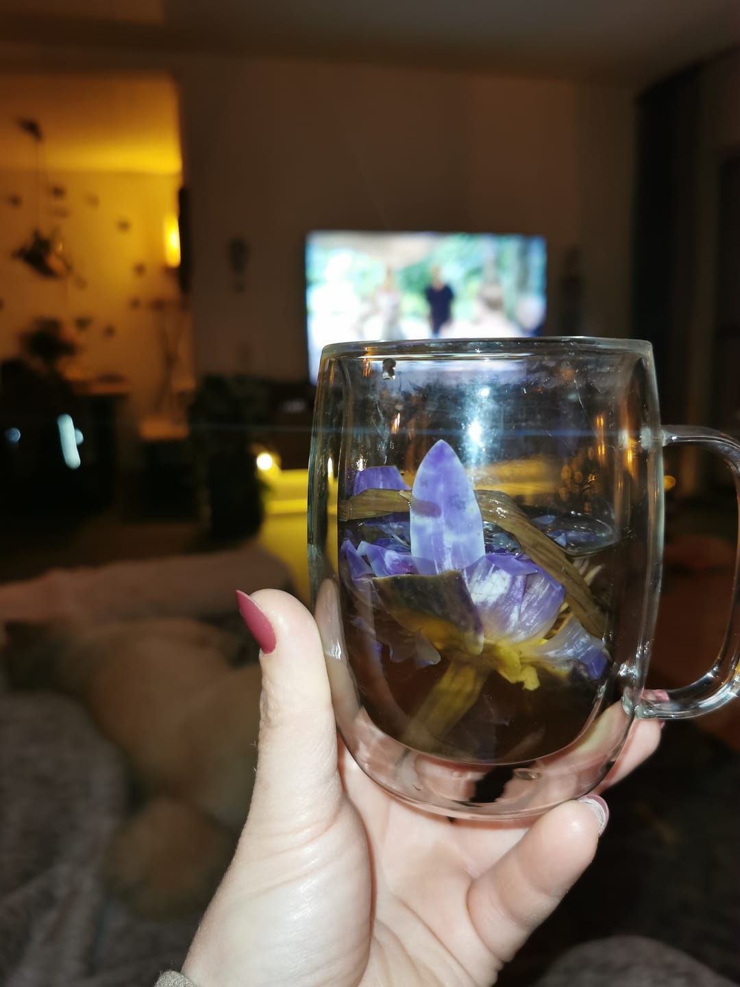 Customer photo review of PRE ORDER Blue Lotus Stems