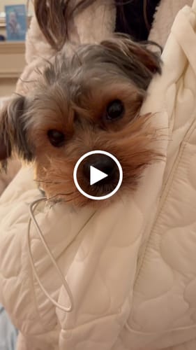 Customer video review of Marshmallow | The Quilted Sling