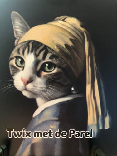 Customer photo review of Kat met de Parel Tegel – Jouw Huisdier als Klassiek Meesterwerk