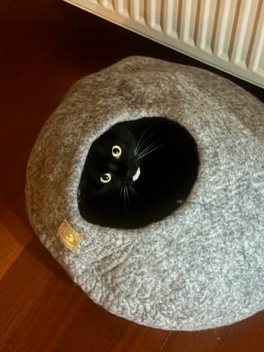 Customer photo review of WoolNest Premium