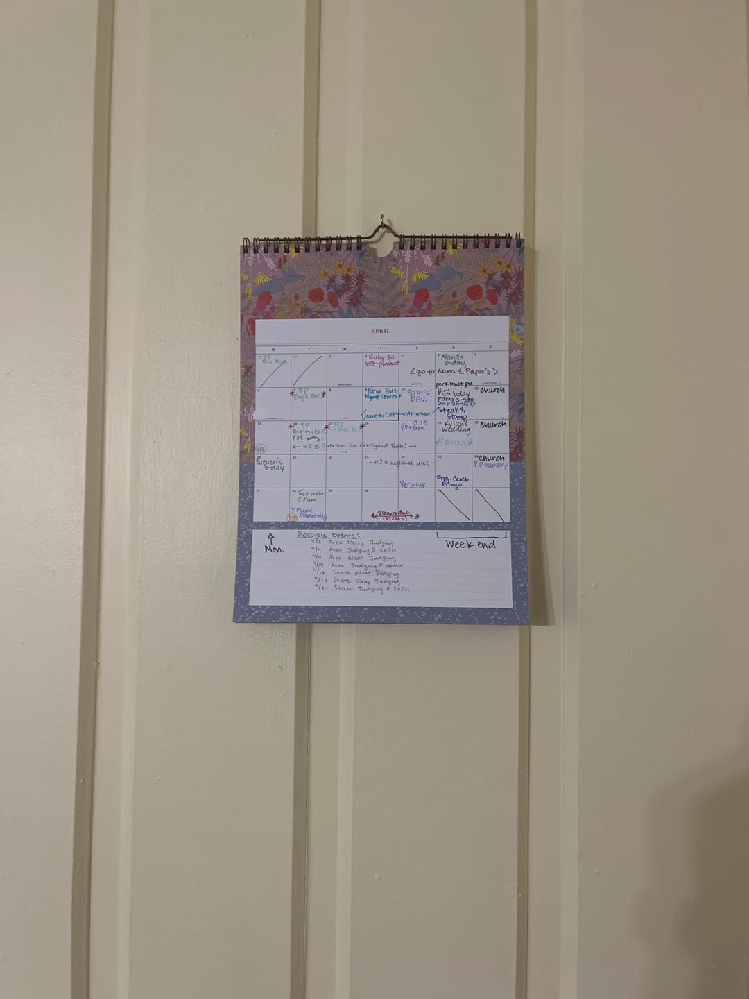 Customer photo review of FINAL SALE | 2026 Wall Calendar