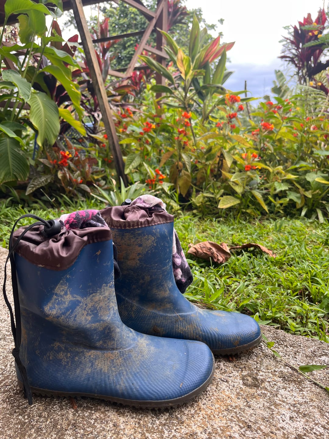 Customer photo review of Brisk Ⅰ - Barfuß-Gummistiefel