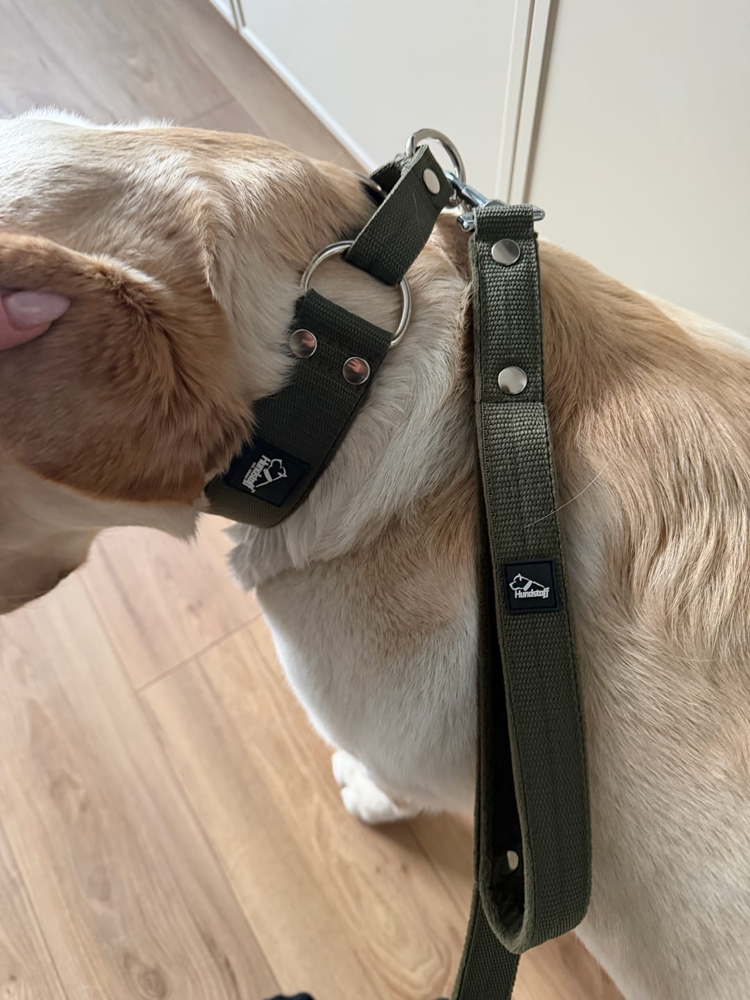 Customer photo review of Smycz z dodatkową rączką - Guard Leash Khaki