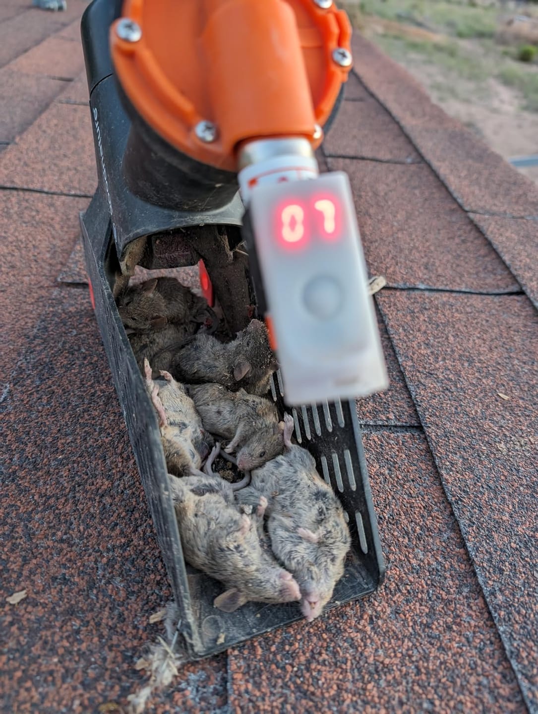Customer photo review of A24 Trap Kit With Digital Strike Counter