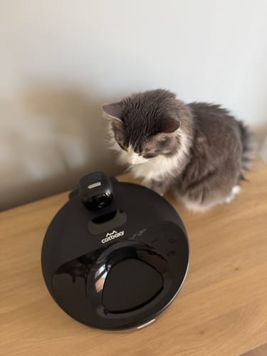 Customer photo review of Furdear Europa E1 Refrigerated Wet Food Feeder