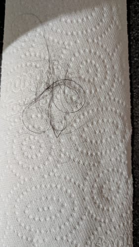 Reviewer shows a small amount of dark, shed hair on a paper towel.