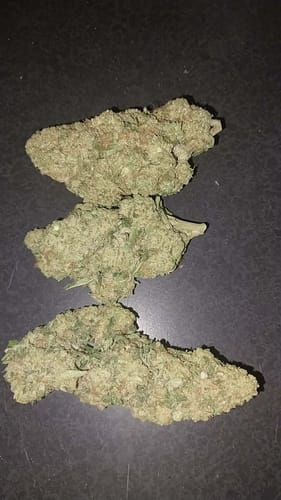 Customer photo review of Cheap THCA Flower Half Pound