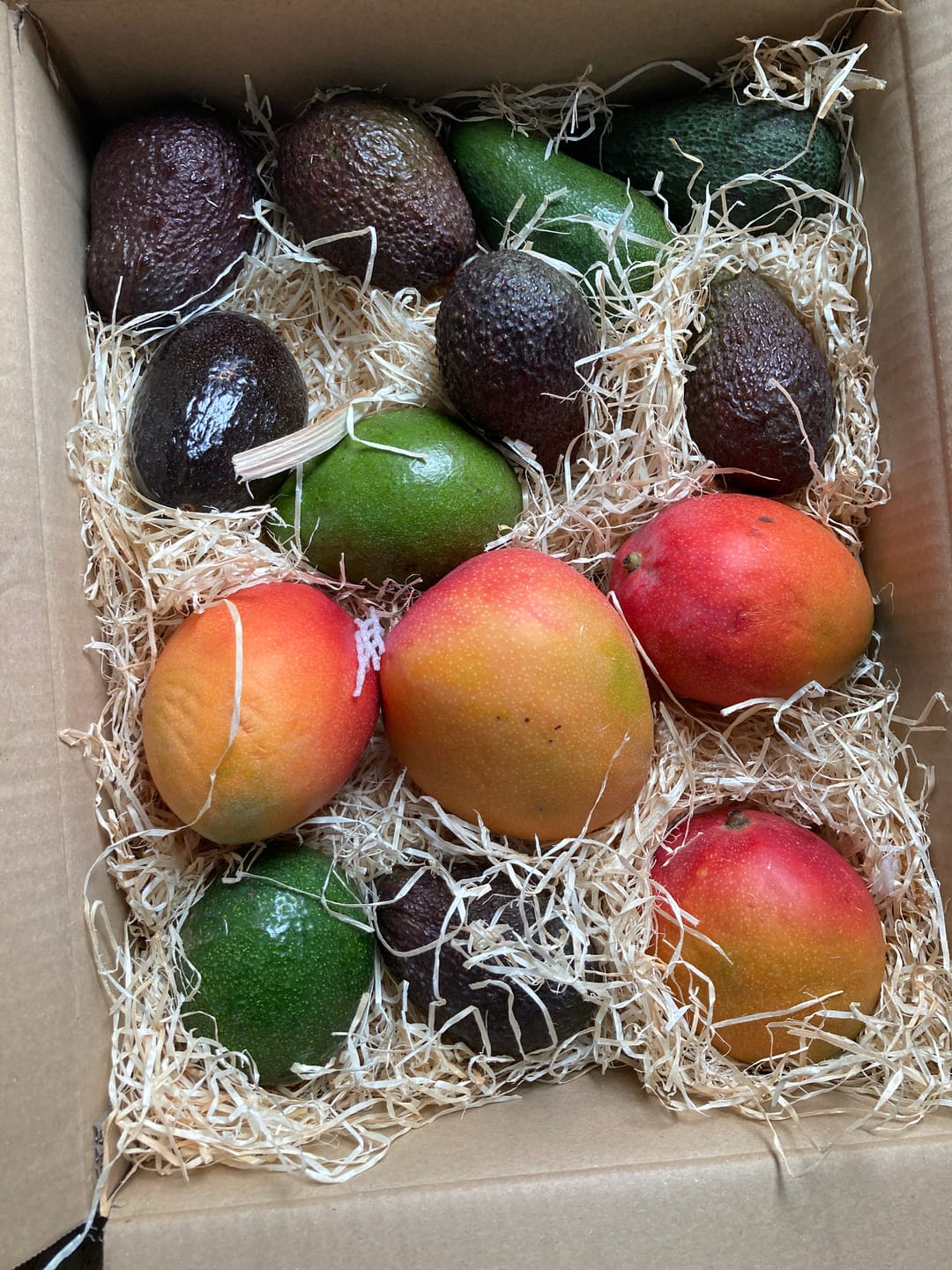 Customer photo review of Mango Kent Premium Bio von Karina baumgereift