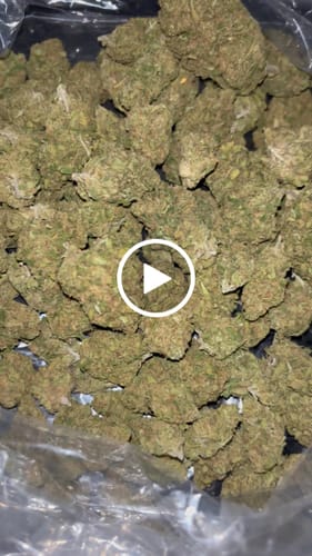 Beyond Blue Dream Indoor - Bulk - Sativa photo review