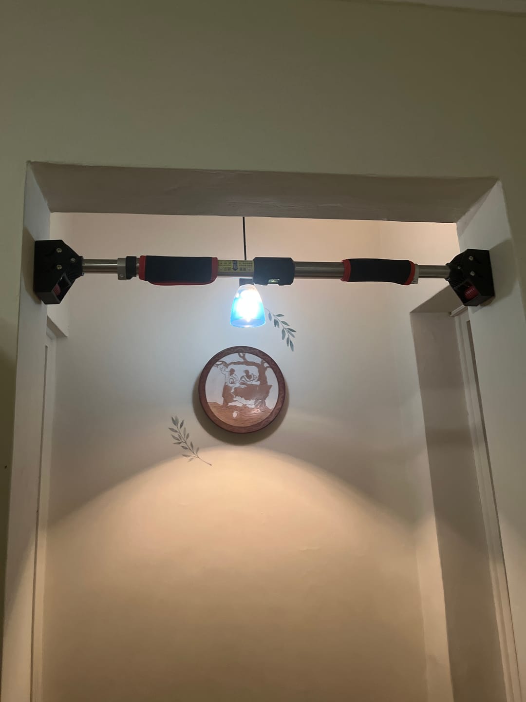 Customer photo review of Barra para Dominadas y Calistenia Pull UP
