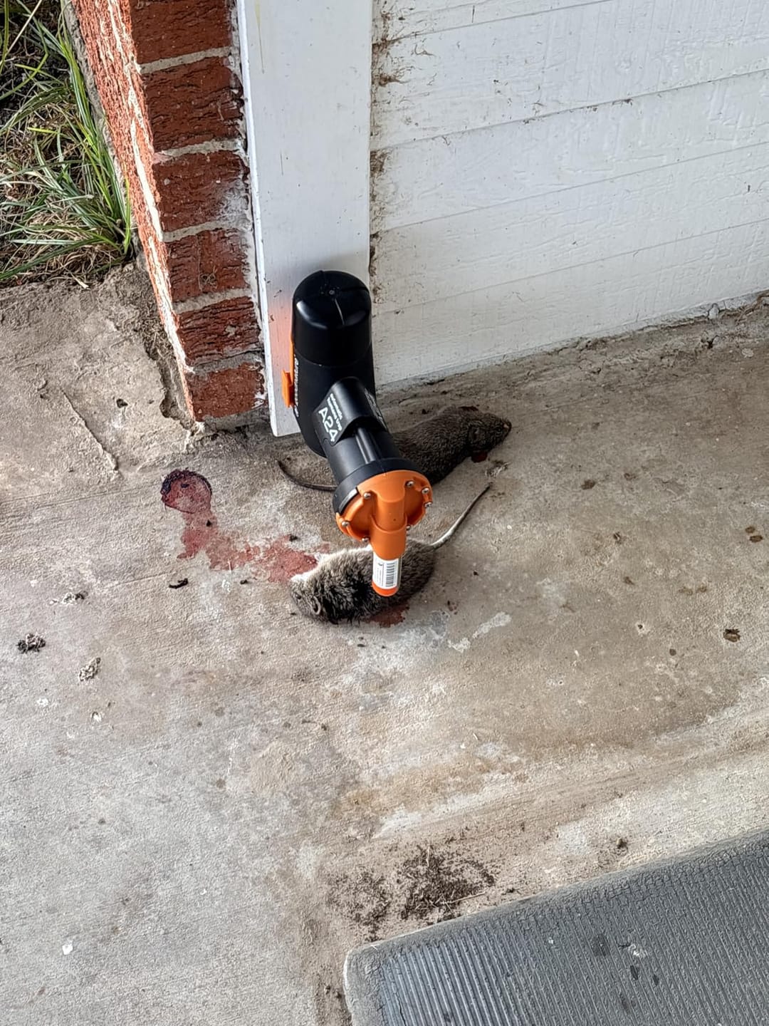Customer photo review of A24 Trap Kit With Digital Strike Counter