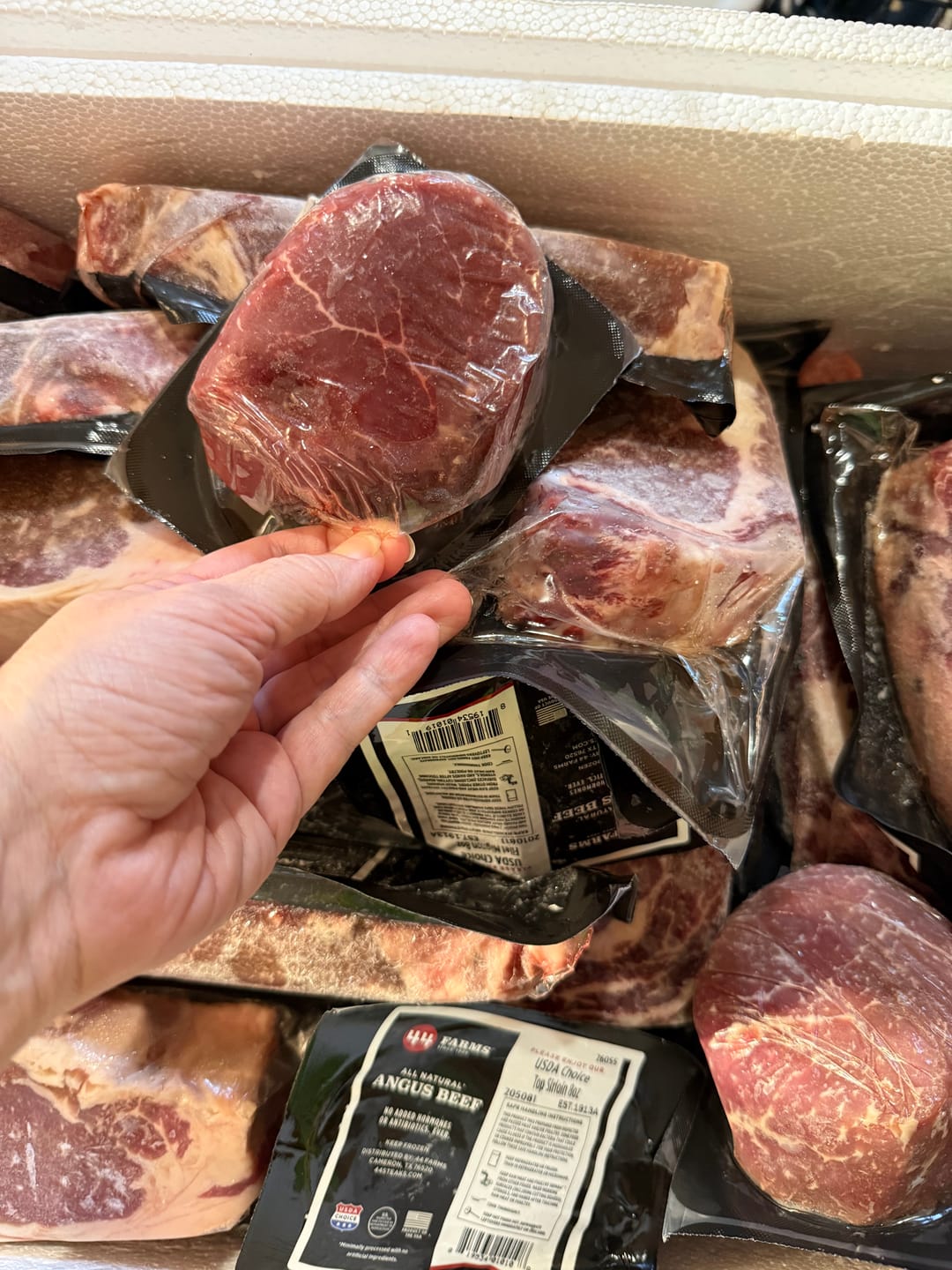 Customer photo review of Quarter (1/4) Cow