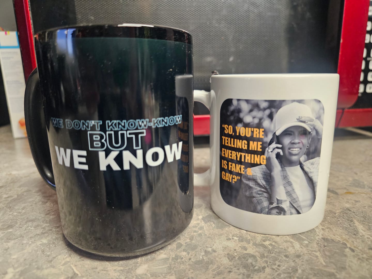 Customer photo review of Fake & Gay Mug