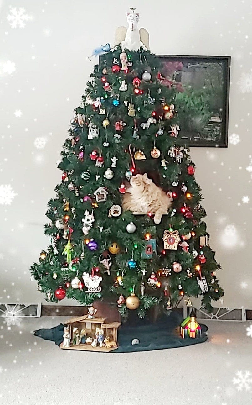 Customer photo review of Cat Christmas Tree - Sep 2026