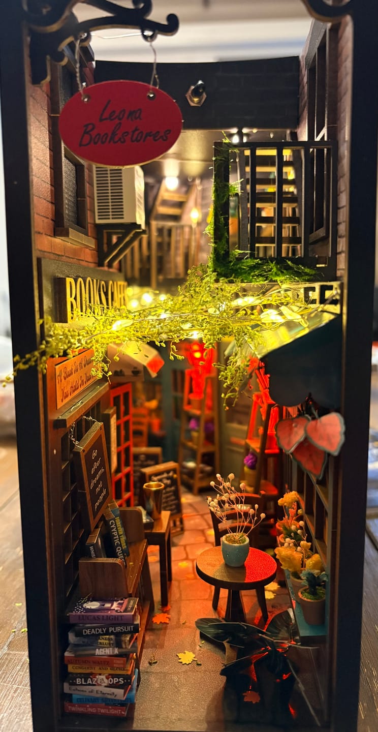 Customer photo review of Dreamy MiniAlley - Booknook DIY kit