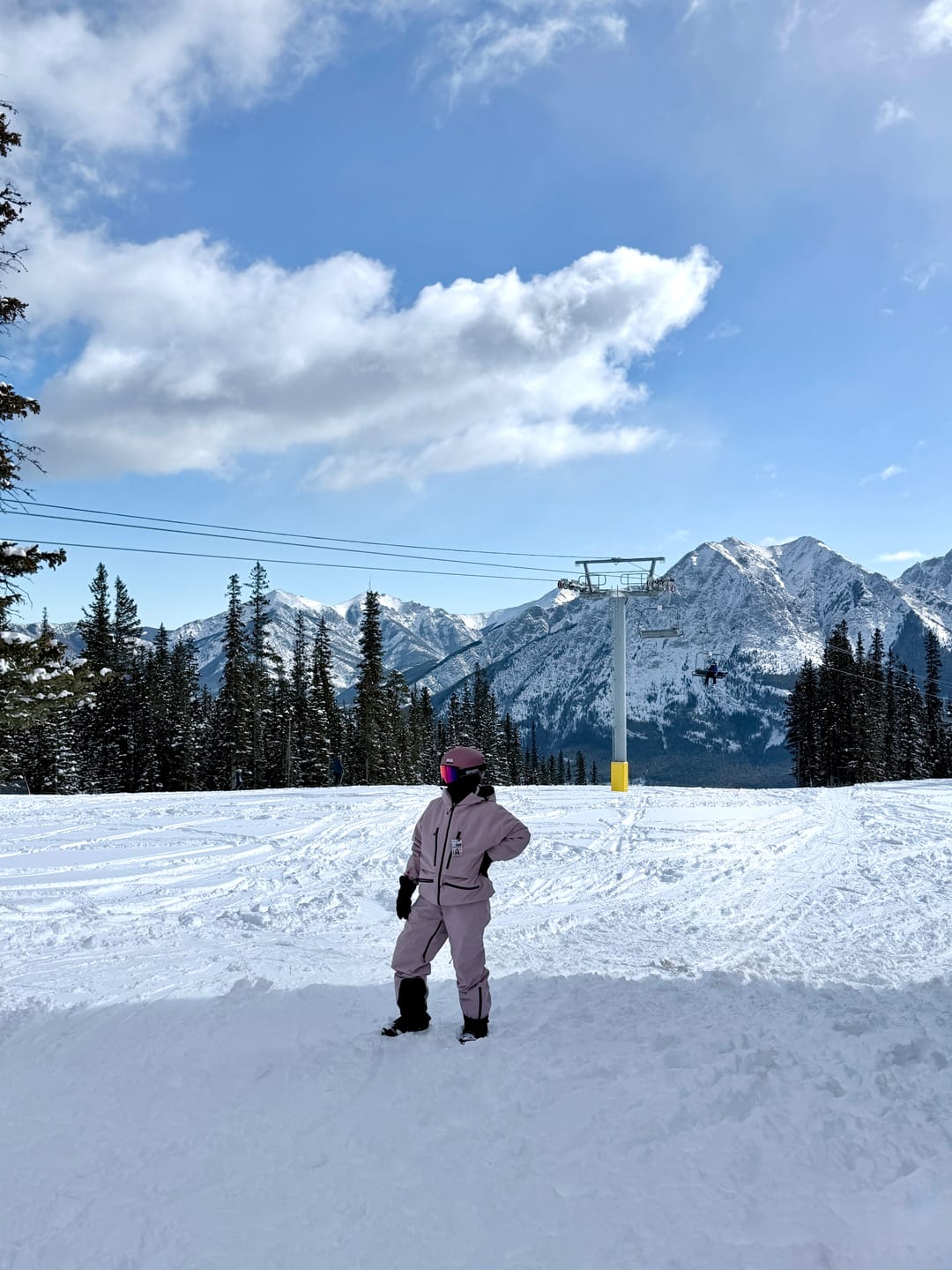 Customer photo review of Women's Pink Multifunctional Waterproof Insulated Snow Jacket