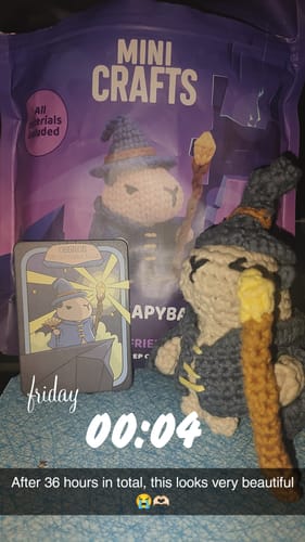 Customer photo review of Oberon The Capybara Mage Crochet Kit