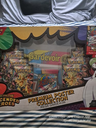 Customer photo review of Premium Poster Collection (Styles May Vary)