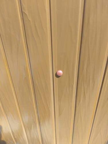 Customer photo review of 12/12-167 Burnt Orange