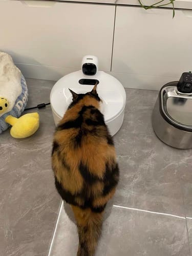 Customer photo review of Furdear Europa E1 Refrigerated Wet Food Feeder