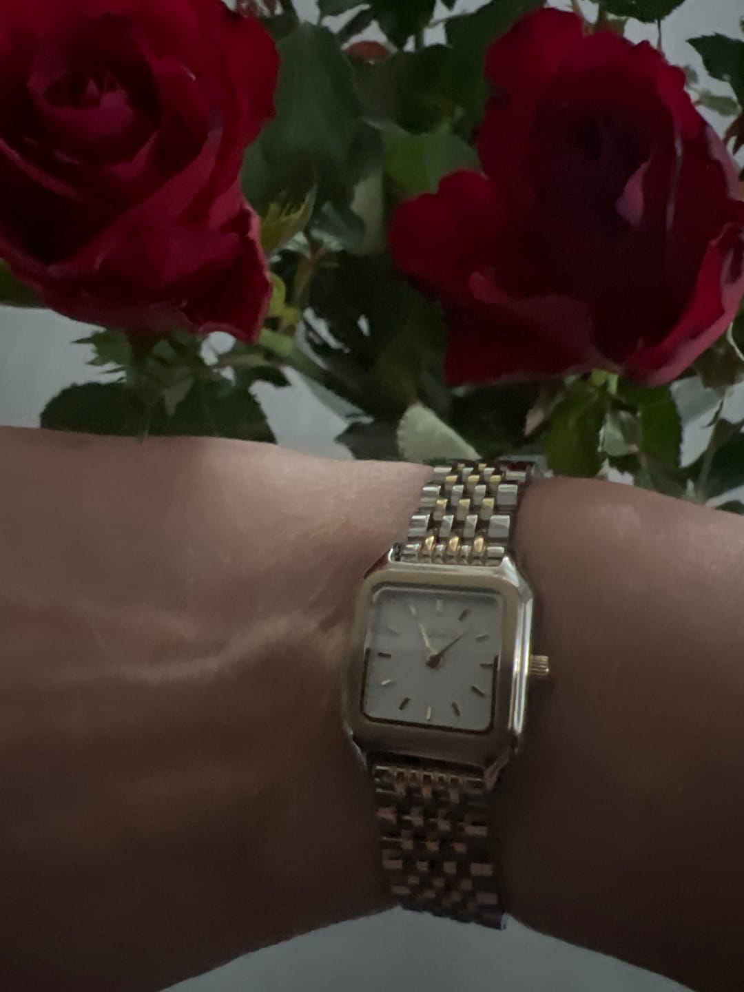 Customer photo review of Macy Petite Gold Silver