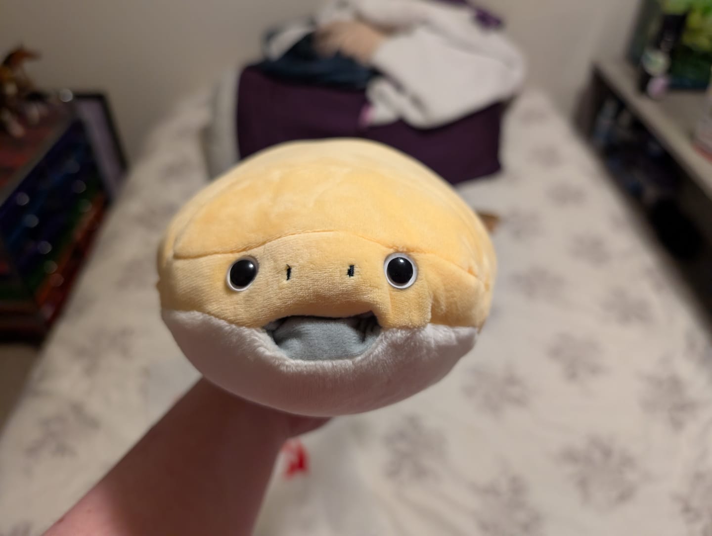 Customer photo review of Sacabambaspis Prehistoric Fish Soft Stuffed Plush Toy