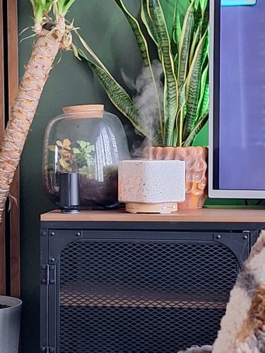 Klant's Geurwolkje Aroma Diffuser verspreidt nevel op een meubel, omringd door kamerplanten.