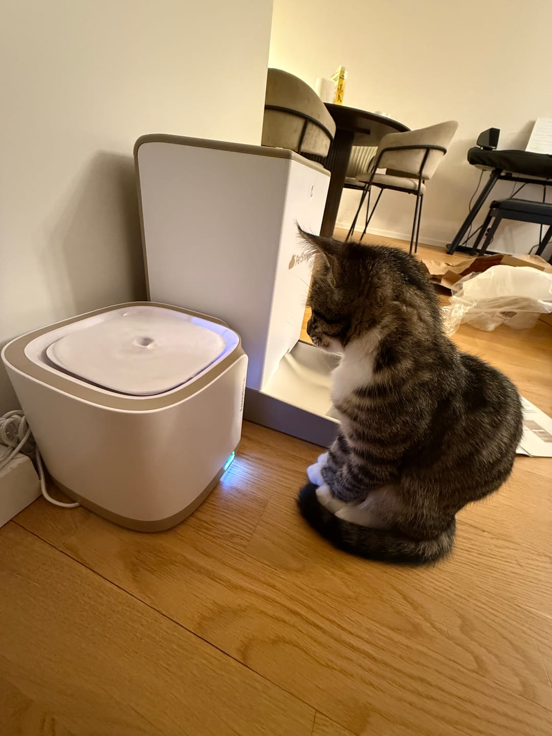 Customer photo review of Pet Water Fountain