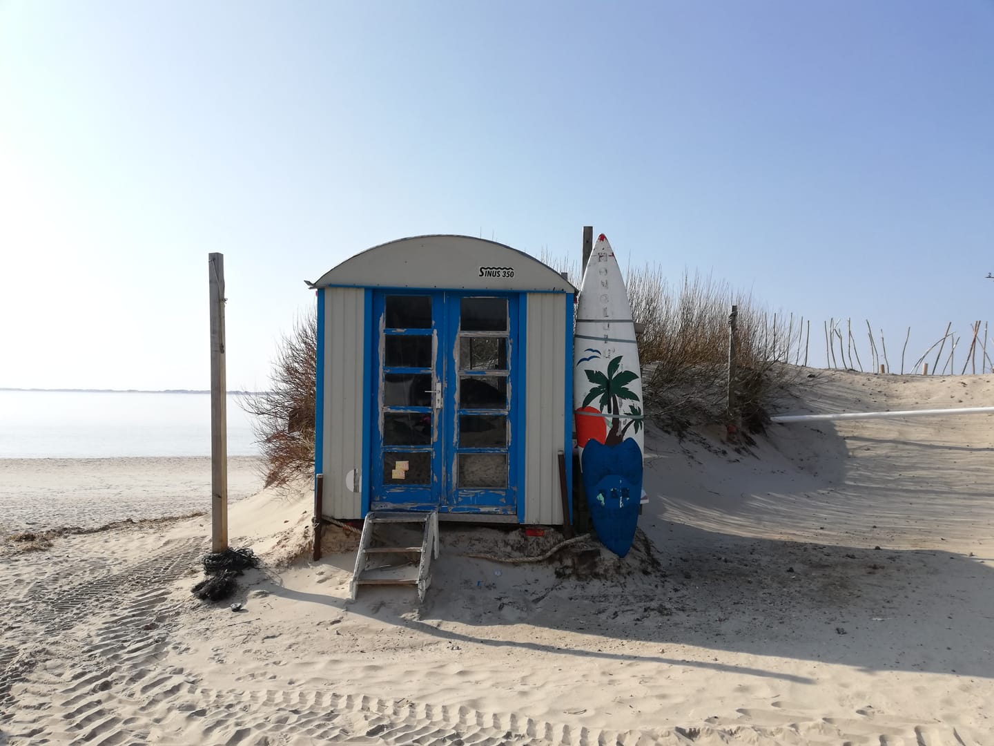Customer photo review of Nachtlicht Kinder personalisiert - kleine Waldfreunde