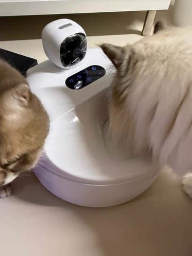 Customer photo review of Furdear Europa E1 Refrigerated Wet Food Feeder