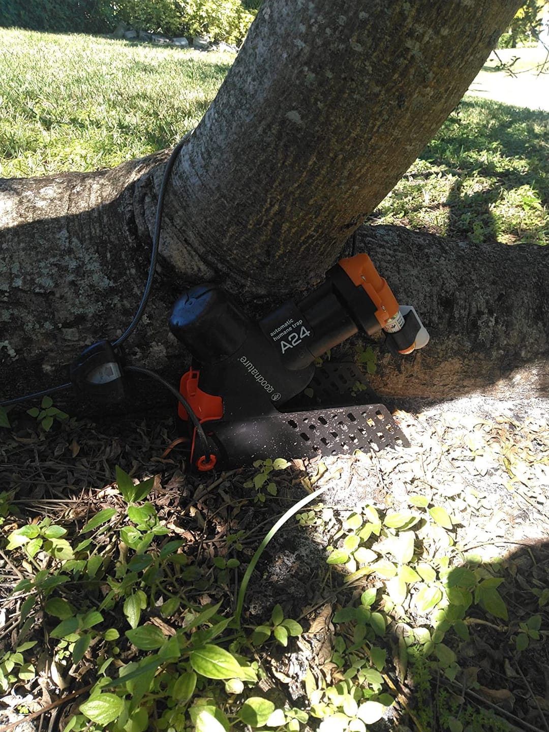 Customer photo review of A24 Trap Kit With Digital Strike Counter