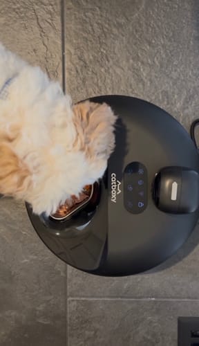 Customer photo review of Furdear Europa E1 Refrigerated Wet Food Feeder