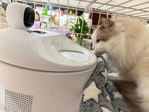 Customer photo review of Furdear Europa E1 Refrigerated Wet Food Feeder