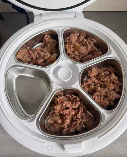 Customer photo review of Furdear Europa E1 Refrigerated Wet Food Feeder