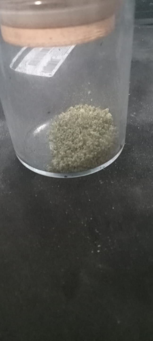 Customer photo review of Berry Gelato - 28 Grams - Indica