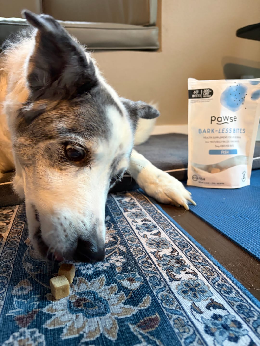 Customer photo review of Bark-Less Bites