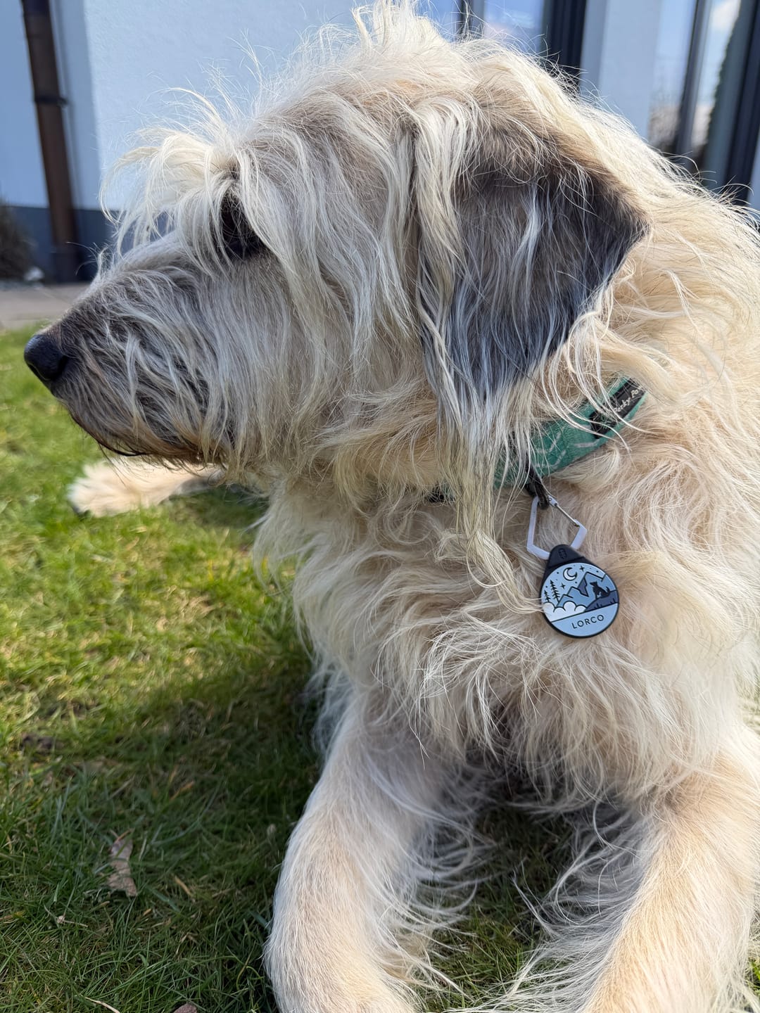 Customer photo review of Trailmark - Silent Dog ID Tag