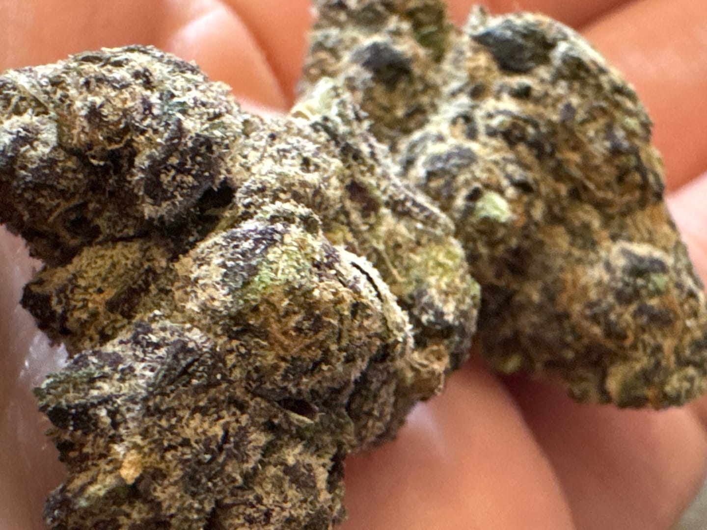 Customer photo review of Bolo Runtz - 4 Grams - Hybrid