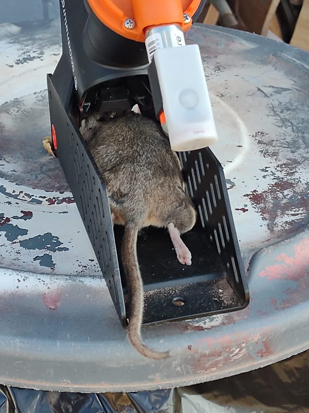 Customer photo review of A24 Trap Kit With Digital Strike Counter