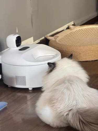 Customer photo review of Furdear Europa E1 Refrigerated Wet Food Feeder