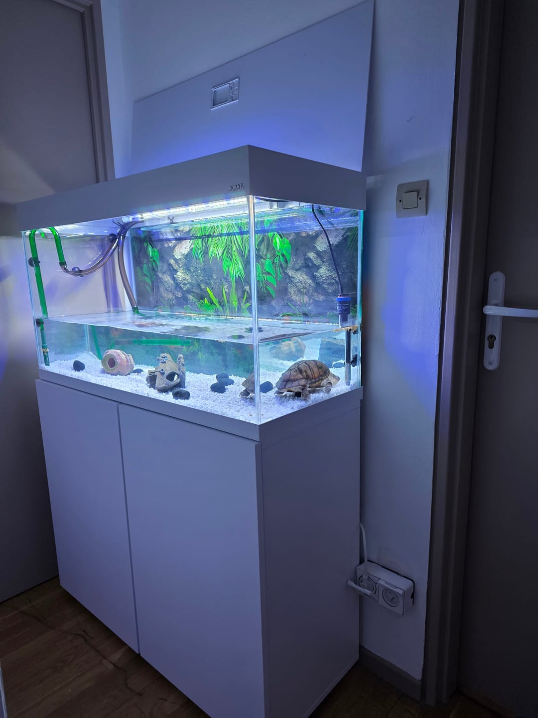 Customer photo review of Aquarium Opti Set 200 Blanc AQUAEL - 200L
